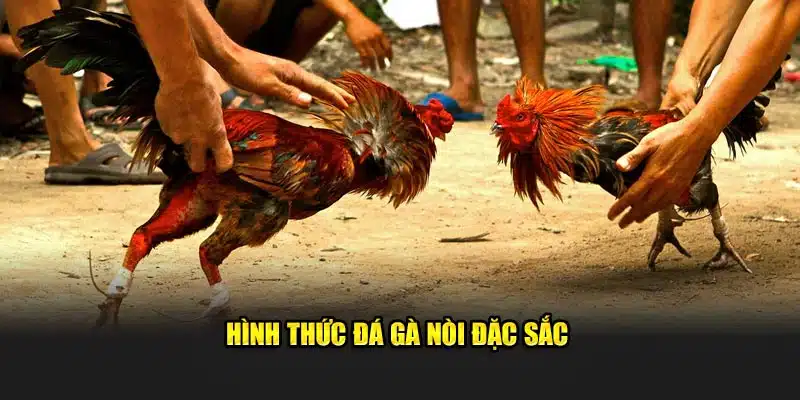 Hình thức đá kê nòi đặc sắc